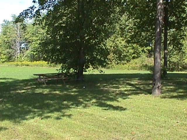 Picnic table and shade at SSI